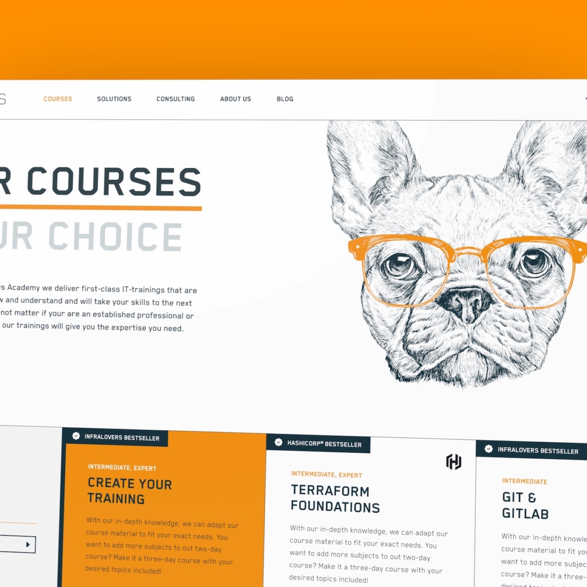 Infralovers Trainingsacademy, Screendesign